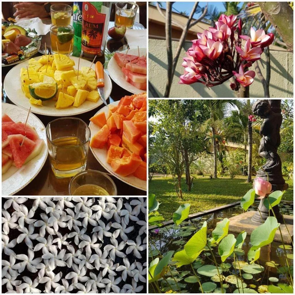 Solomon Beach Hotel Marawila Exterior foto
